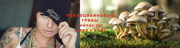 скорость Кукмор